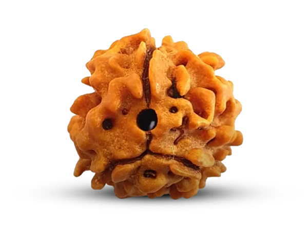 3--mukhi